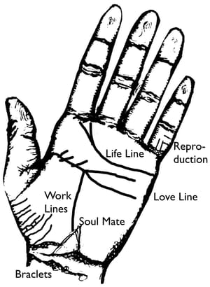Myrna Lou Goldbaum | Palmistry, Past Lives, Soul Mates