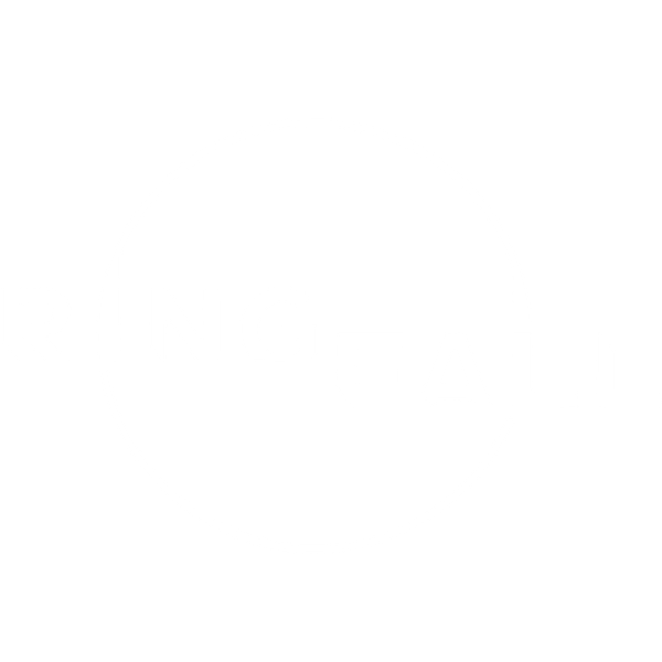 Nikolai Bæk Kristensen | Ringfall, Cottonhammer Studios, Starting an Indie Game Company